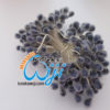 Putik bunga kaca biru tua ,PBK-1553